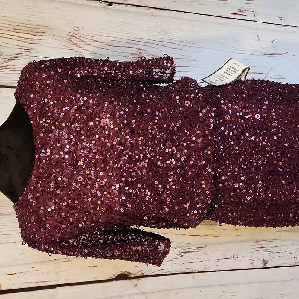 Adrianna Papell Beaded Long Blouson Dress Cassis 8 NWT - Picture 4 of 16
